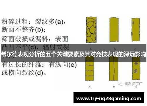 希尔德表现分析的五个关键要素及其对竞技表现的深远影响 希尔德表现分析的五个关键要素及其对竞技表现的深远影响