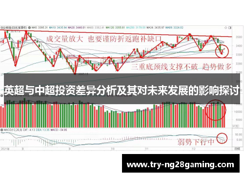英超与中超投资差异分析及其对未来发展的影响探讨