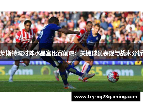 莱斯特城对阵水晶宫比赛前瞻：关键球员表现与战术分析