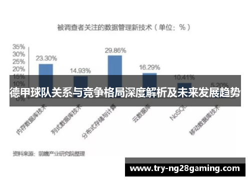 德甲球队关系与竞争格局深度解析及未来发展趋势