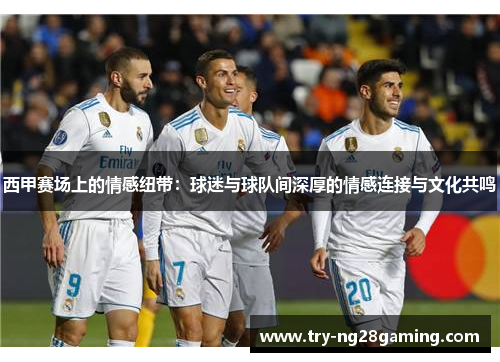 西甲赛场上的情感纽带：球迷与球队间深厚的情感连接与文化共鸣