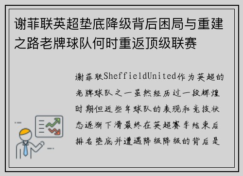 谢菲联英超垫底降级背后困局与重建之路老牌球队何时重返顶级联赛 谢菲联英超垫底降级背后困局与重建之路老牌球队何时重返顶级联赛
